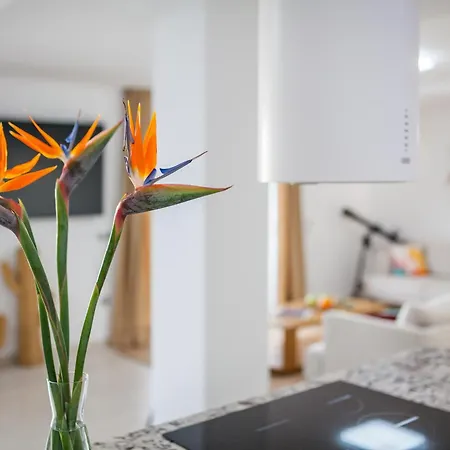 Apartment Presidential 350m2 Bellavista On One Level,private Spa&heated Pool